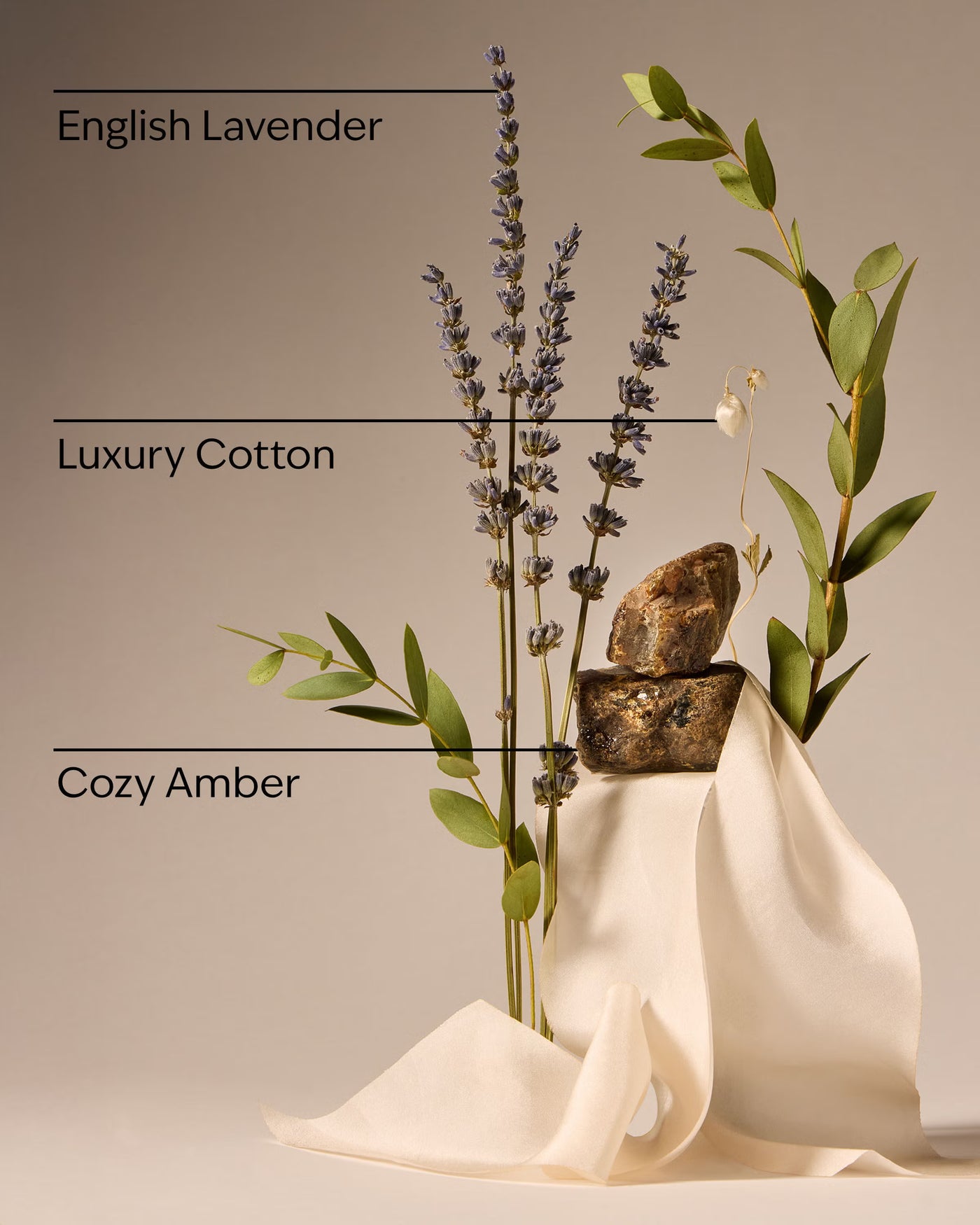 Clean House Vibes - Luxe Cotton Concentrated Room Spray