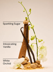 Warm Vanilla Sugar Body Wash