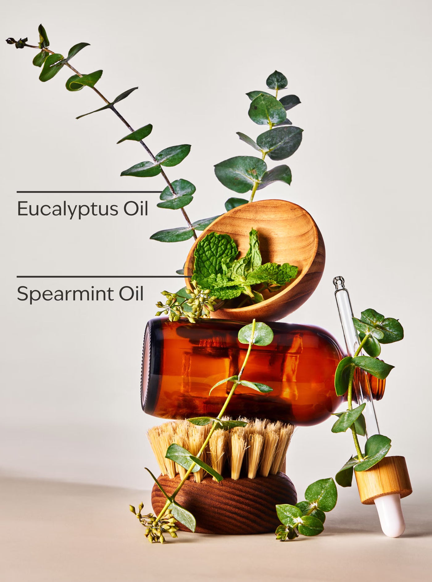 Eucalyptus Spearmint Single Wick Candle