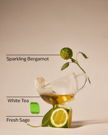 White Tea & Sage PocketBac Hand Sanitizer