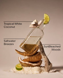 Waikiki Beach Coconut 3-Wick Candle