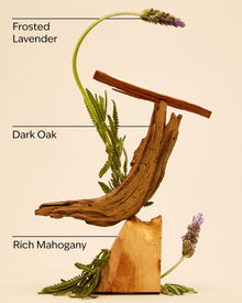 Mahogany Teakwood Antiperspirant Deodorant