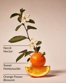 Backyard Honeysuckle Wallflowers Fragrance Refill