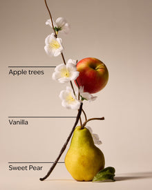 Spring Apple Wallflowers Fragrance Refill