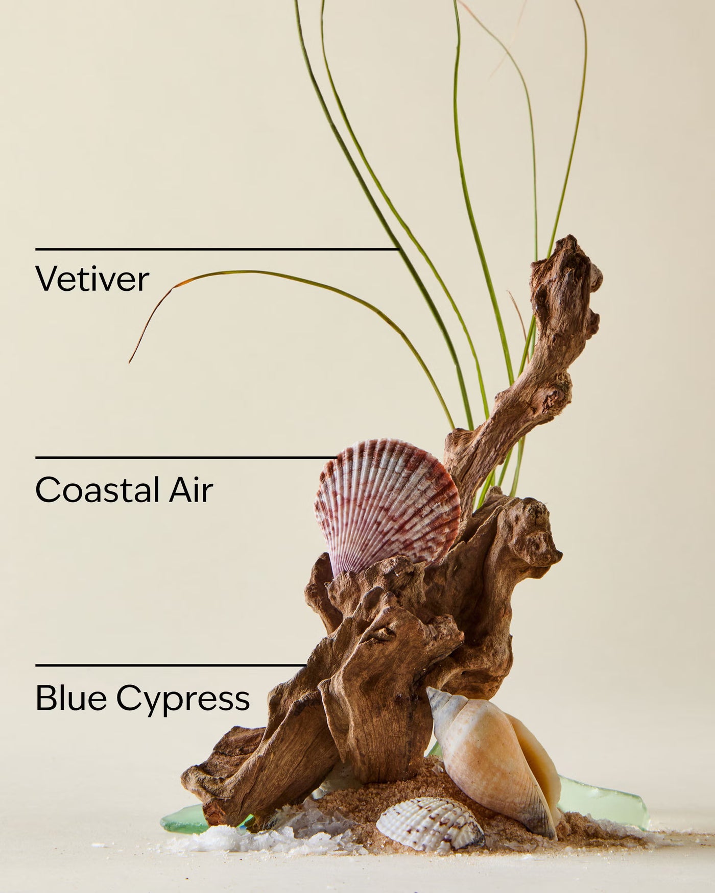 Ocean Car Fragrance Refill