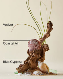 Ocean Gift Set