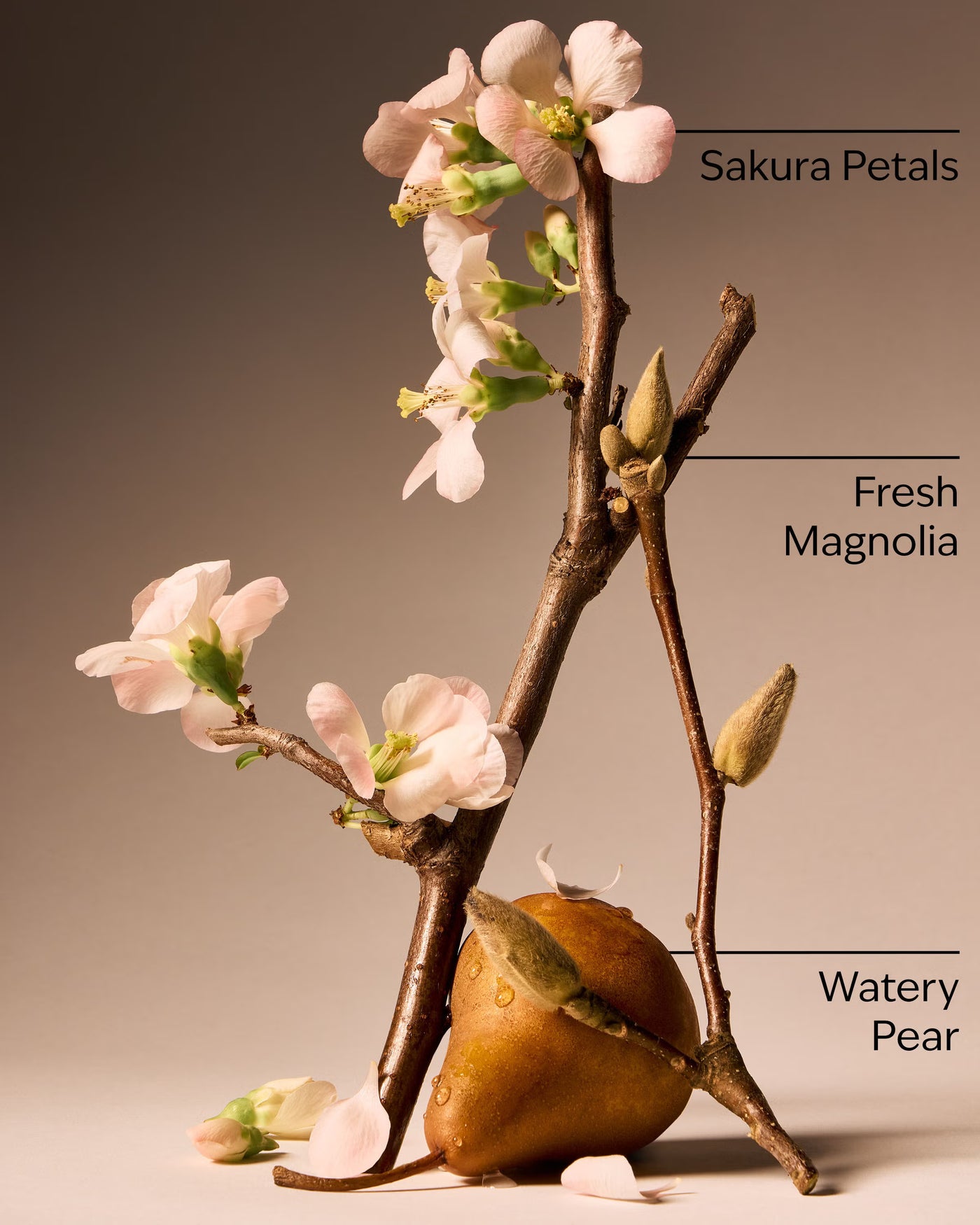 Forever Cherry Blossom Eau De Parfum